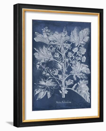 Besler Leaves in Indigo II-Vision Studio-Framed Art Print