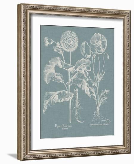 Besler Poppies II-Basilius Besler-Framed Art Print