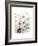 Bespoken Blossoms II-Grace Popp-Framed Art Print