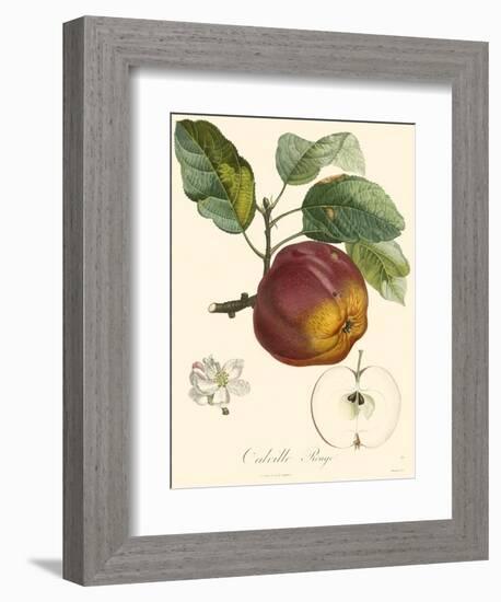 Bessa Apples-Bessa-Framed Art Print