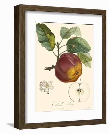 Bessa Apples-Bessa-Framed Art Print