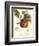 Bessa Apples-Bessa-Framed Art Print