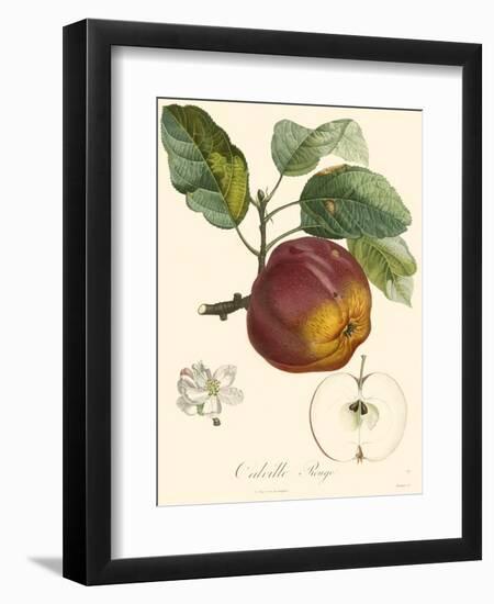 Bessa Apples-Bessa-Framed Art Print