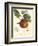 Bessa Apples-Bessa-Framed Art Print