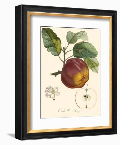 Bessa Apples-Bessa-Framed Art Print