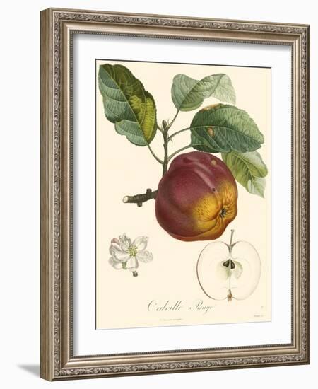 Bessa Apples-Bessa-Framed Art Print