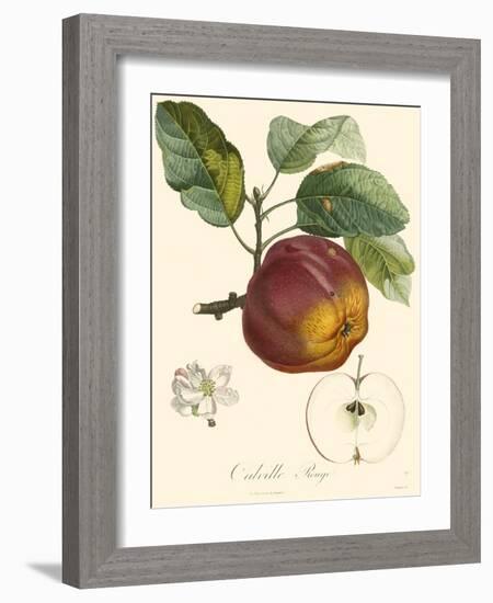 Bessa Apples-Bessa-Framed Art Print