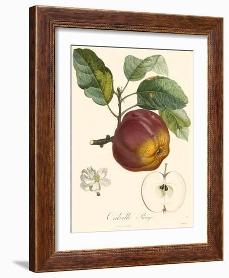 Bessa Apples-Bessa-Framed Art Print