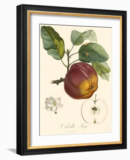 Bessa Apples-Bessa-Framed Art Print