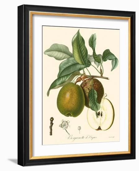 Bessa Pears-Bessa-Framed Art Print