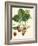 Bessa Strawberries-Bessa-Framed Art Print