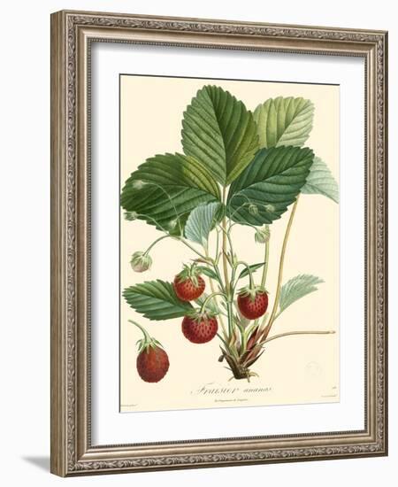 Bessa Strawberries-Bessa-Framed Art Print