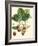 Bessa Strawberries-Bessa-Framed Art Print