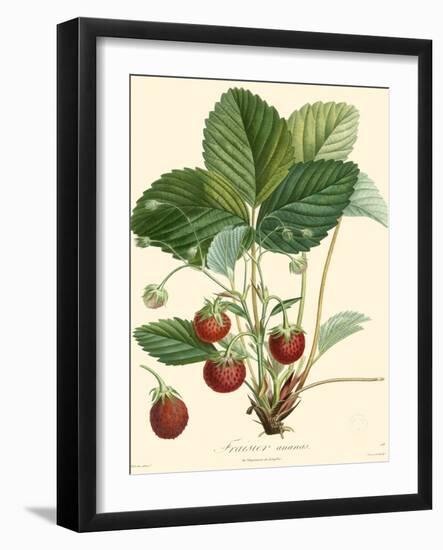 Bessa Strawberries-Bessa-Framed Art Print