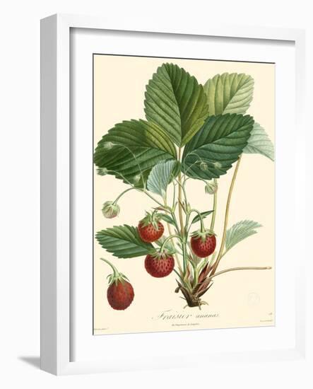 Bessa Strawberries-Bessa-Framed Art Print