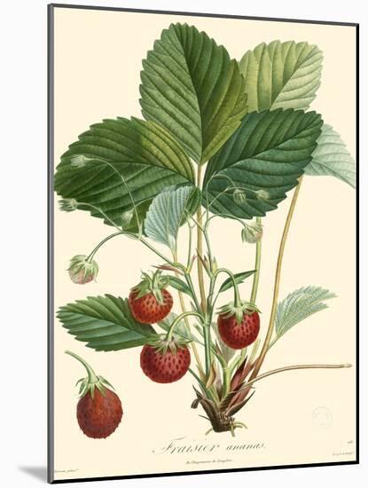 Bessa Strawberries-Bessa-Mounted Art Print