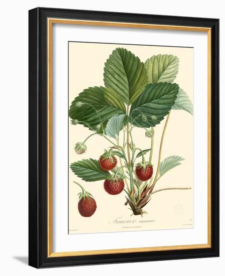 Bessa Strawberries-Bessa-Framed Art Print