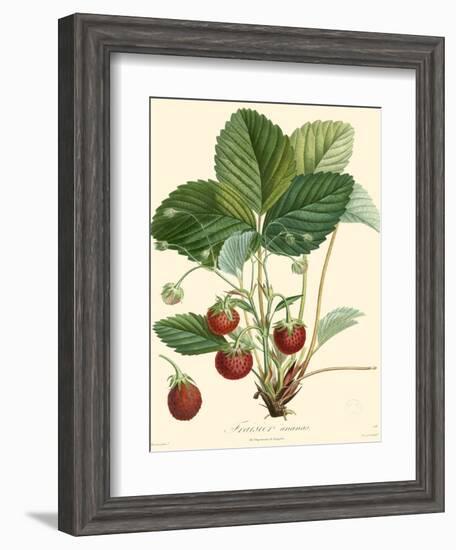 Bessa Strawberries-Bessa-Framed Art Print