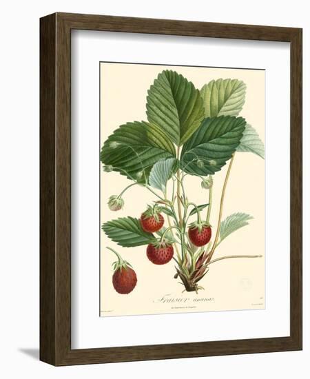 Bessa Strawberries-Bessa-Framed Art Print