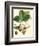 Bessa Strawberries-Bessa-Framed Art Print