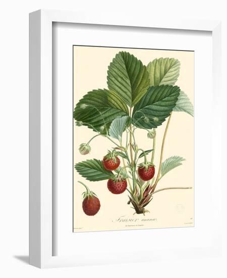 Bessa Strawberries-Bessa-Framed Art Print