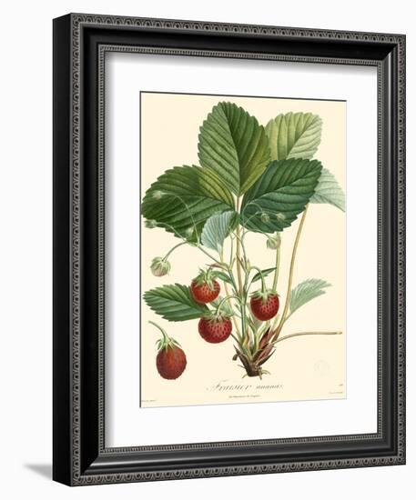 Bessa Strawberries-Bessa-Framed Art Print