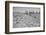 Bessie Levee on the Mississippi River augmented with sand bags during the flood by Tiptonville, TN-Walker Evans-Framed Photographic Print