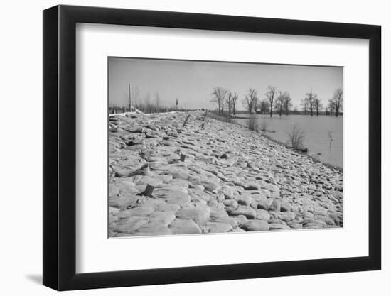 Bessie Levee on the Mississippi River augmented with sand bags during the flood by Tiptonville, TN-Walker Evans-Framed Photographic Print