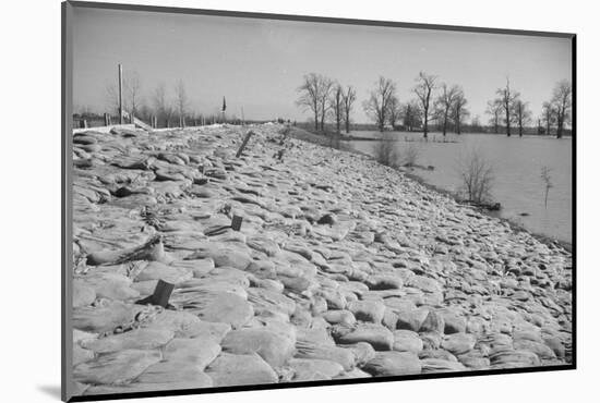 Bessie Levee on the Mississippi River augmented with sand bags during the flood by Tiptonville, TN-Walker Evans-Mounted Photographic Print