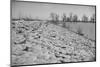 Bessie Levee on the Mississippi River augmented with sand bags during the flood by Tiptonville, TN-Walker Evans-Mounted Photographic Print