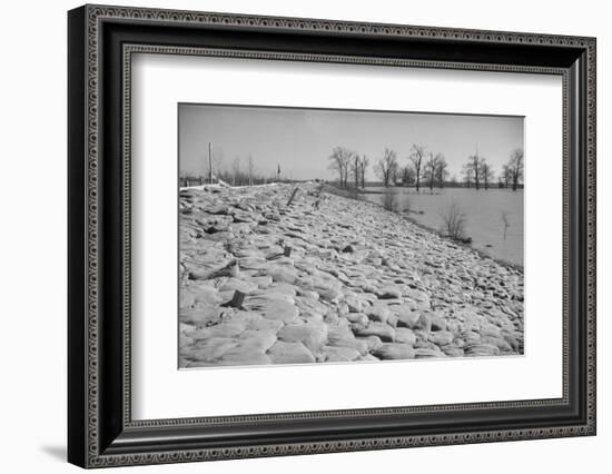 Bessie Levee on the Mississippi River augmented with sand bags during the flood by Tiptonville, TN-Walker Evans-Framed Photographic Print