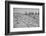 Bessie Levee on the Mississippi River augmented with sand bags during the flood by Tiptonville, TN-Walker Evans-Framed Photographic Print