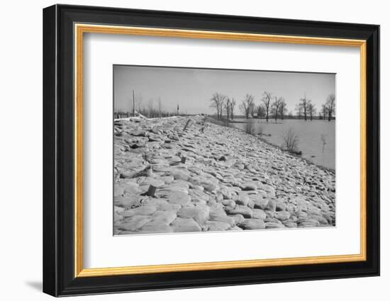 Bessie Levee on the Mississippi River augmented with sand bags during the flood by Tiptonville, TN-Walker Evans-Framed Photographic Print