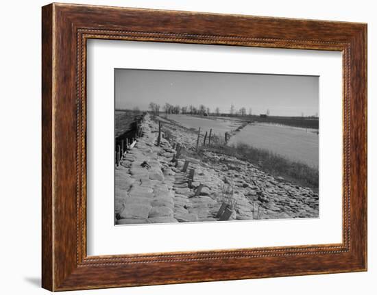 Bessie Levee on the Mississippi River augmented with sand bags during the flood by Tiptonville, TN-Walker Evans-Framed Photographic Print