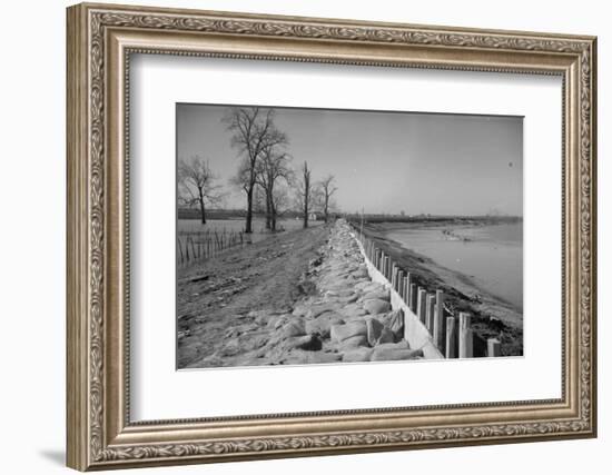 Bessie Levee on the Mississippi River augmented with sand bags during the flood by Tiptonville, TN-Walker Evans-Framed Photographic Print