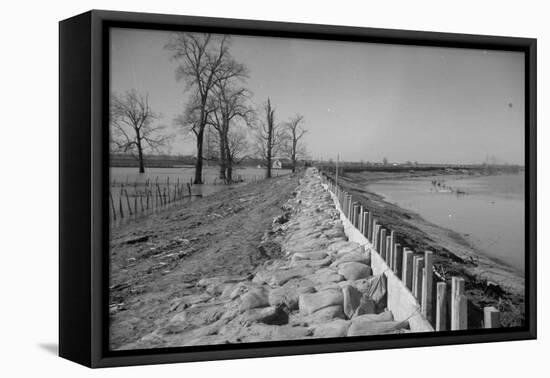 Bessie Levee on the Mississippi River augmented with sand bags during the flood by Tiptonville, TN-Walker Evans-Framed Premier Image Canvas