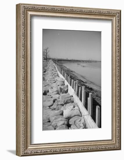 Bessie Levee on the Mississippi River augmented with sand bags during the flood by Tiptonville, TN-Walker Evans-Framed Photographic Print