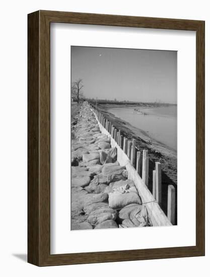 Bessie Levee on the Mississippi River augmented with sand bags during the flood by Tiptonville, TN-Walker Evans-Framed Photographic Print