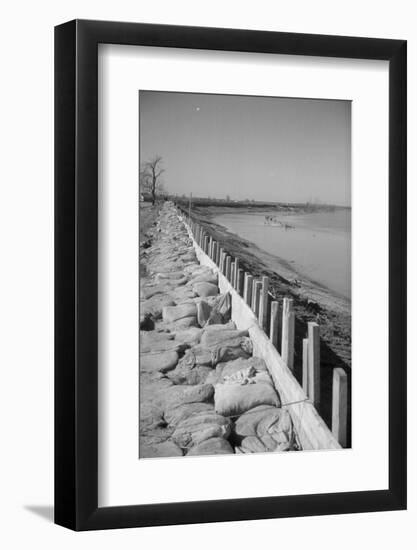 Bessie Levee on the Mississippi River augmented with sand bags during the flood by Tiptonville, TN-Walker Evans-Framed Photographic Print