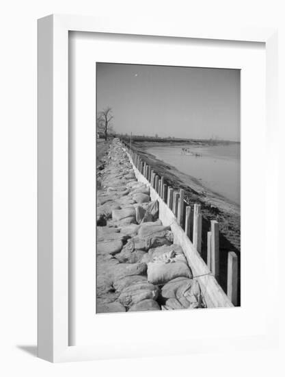 Bessie Levee on the Mississippi River augmented with sand bags during the flood by Tiptonville, TN-Walker Evans-Framed Photographic Print