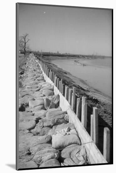 Bessie Levee on the Mississippi River augmented with sand bags during the flood by Tiptonville, TN-Walker Evans-Mounted Photographic Print