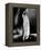 Bessie Smith, American Blues Singer-Science Source-Framed Premier Image Canvas