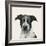 Best Bud IV-Grace Popp-Framed Art Print