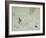 Best Foot Forward-Pat Scott-Framed Giclee Print