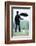 Best Freinds-Javier Brosch-Framed Photographic Print