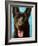 Best Friend II-Walt Johnson-Framed Art Print