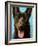 Best Friend II-Walt Johnson-Framed Art Print