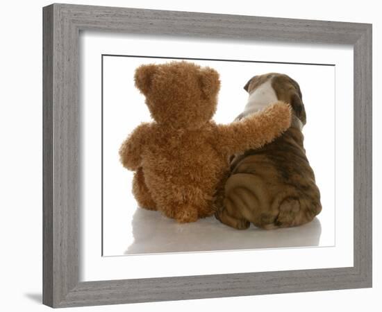Best Friends - English Bulldog Puppy Sitting Beside Bear-Willee Cole-Framed Photographic Print