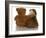 Best Friends - English Bulldog Puppy Sitting Beside Bear-Willee Cole-Framed Photographic Print