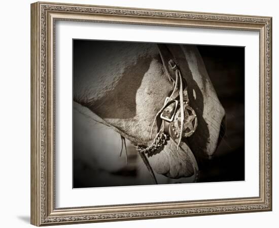 Best Friends-Dan Ballard-Framed Photographic Print